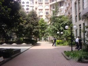锦宏丽景花园1室1厅南