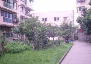 金沙上城3室1厅东南