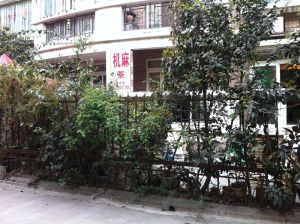 碧云天3室2厅西南西南