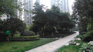 财富又一城2室1厅东南