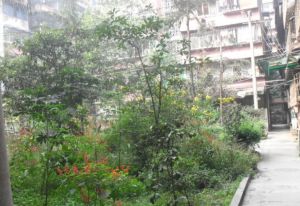 石人西路28号 2室2厅 南