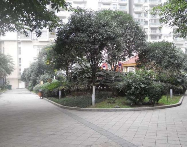 小区相关图