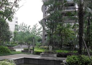 布鲁汀 3室1厅 西南