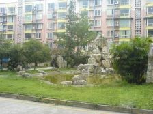 向阳茗苑1室1厅东南