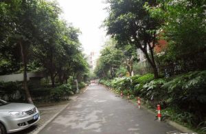 一里阳光3室2厅西北