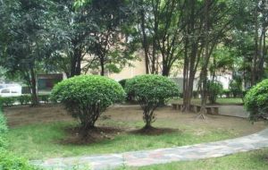 迪昌楼4室2厅南