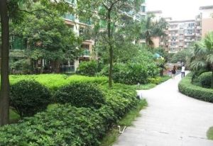 证满五年,电梯四房,光线充足户型方正大阳台望花园