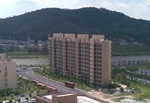 业主自住靓房中层望花园装修保养好