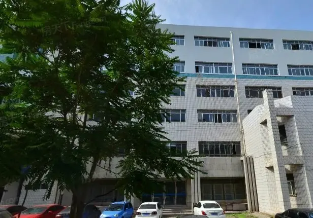 富强路8号实景图