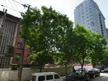 通渭路小户型,南北通透格局好,邻黄河风情线