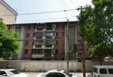 西关十字通渭路市委家属院2室1厅低楼层南北通透
