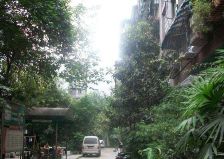营和街66号3室1厅东南