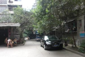 营和街66号3室2厅东南