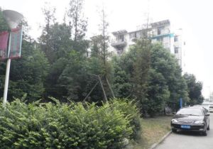 培风小区80号2室1厅南