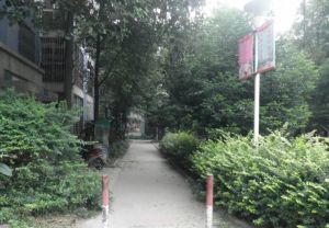 培风小区80号3室2厅南