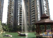 浅水半岛80俊 1室0厅 东南