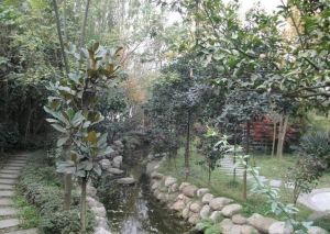 学林雅苑6室2厅东南