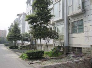 学林雅苑5室2厅东南