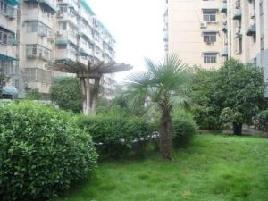 清江花园3室1厅东北
