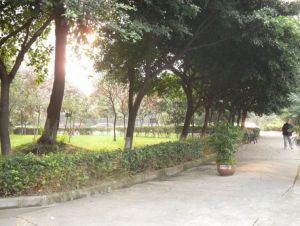 清江花园 3室2厅 南