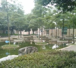 翠拥天地3室1厅南