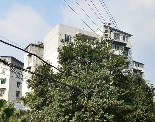小区相关图
