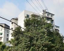 交大花园北苑 3室1厅 南