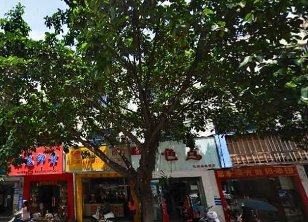 国营林场开发公司宿舍实景图