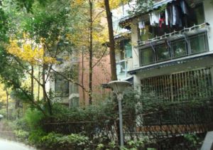 锦里光华 3室1厅 东南