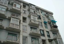 丛林背景1室1厅东南