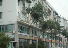 丛林背景1室0厅西北