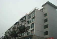 丛林背景1室1厅东南西北