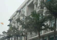 丛林背景1室1厅东南