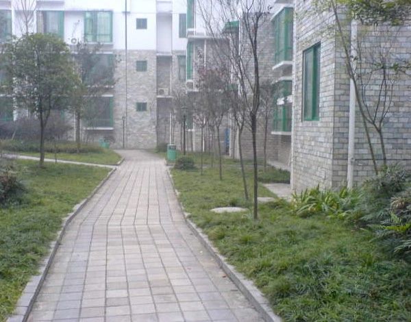 小区相关图
