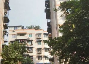 百家苑(青羊)2室1厅南