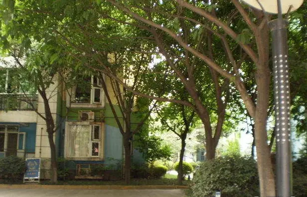 阳光地带商住楼实景图