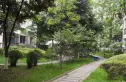 阳光地带商住楼实景图