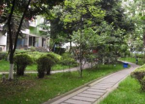 阳光地带(金牛)3室2厅东南