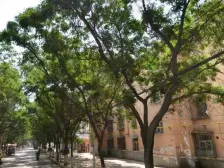 兰化有机厂家属院 大三室 出门便利 配套完善