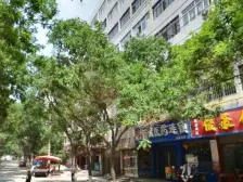 此房 通透 精装修 家具家电带 采光好 户型方正 位置佳