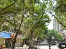 大三室采光好,南北通透,清爽干净拎包入住,交通方便