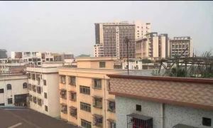 房子满五邻里和睦,采光通透,格局好,直接拎包入住