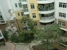 东区海信楼 重新翻新 比VR漂亮 近顺峰山,步梯中层,