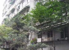 青华路24号3室1厅南北