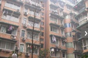 天府名苑1室1厅东南