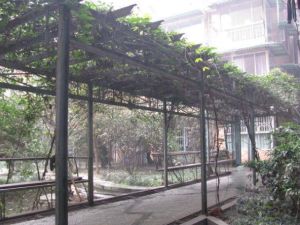 天府名苑1室1厅西南