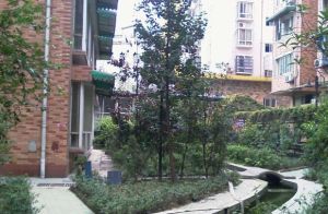 天府名苑 1室1厅 西南