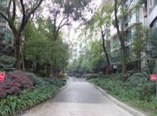 西区御景 4室1厅 西南