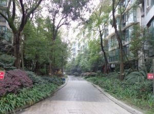 西区御景3室2厅东南