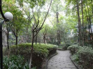 西区御景2室2厅西南